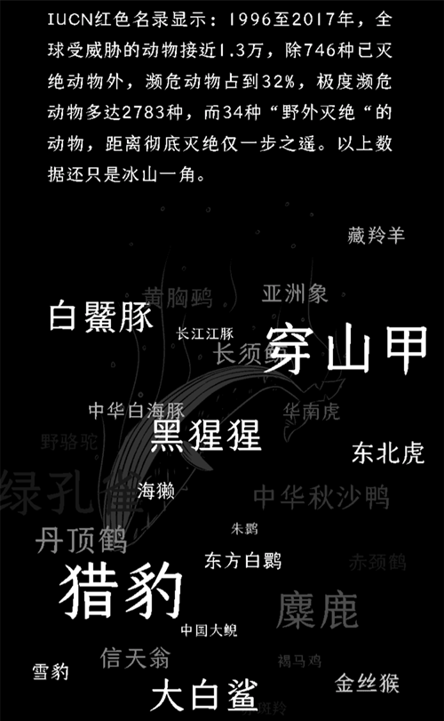 濒危动物 网易h5